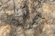 의성군 남대천 일원, 1억 년 전 ‘공룡발자국’ 발견